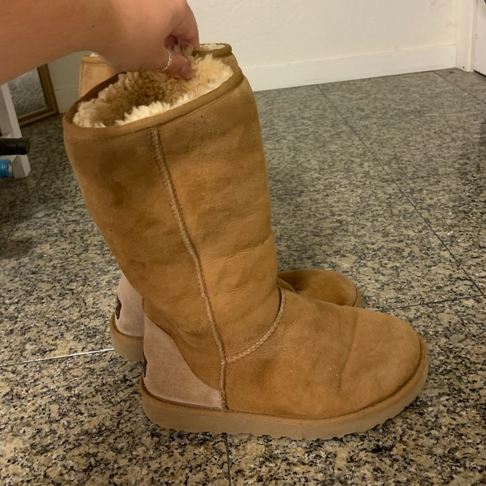 Tall Caramel Ugg boots